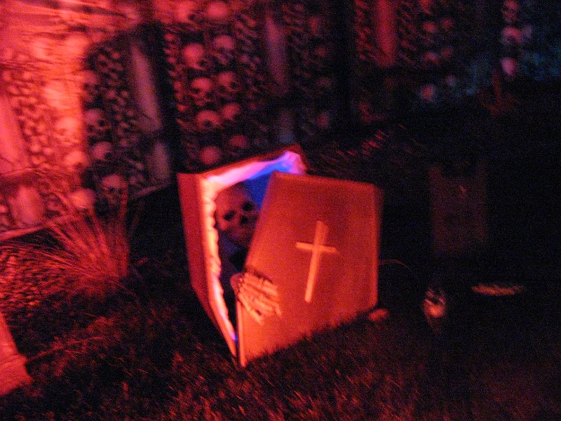 IMG_3461.JPG - Let me out of here